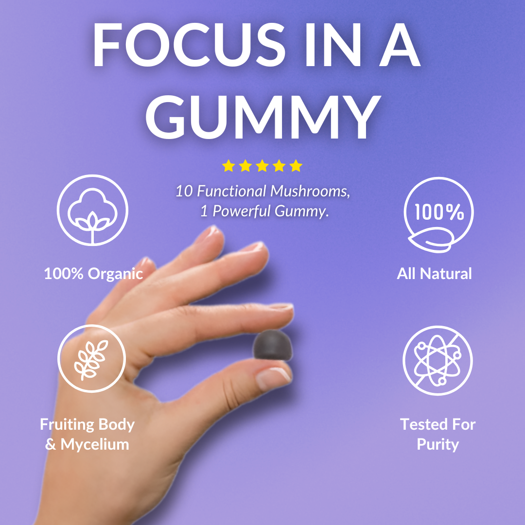 Mindful Mushroom Gummies