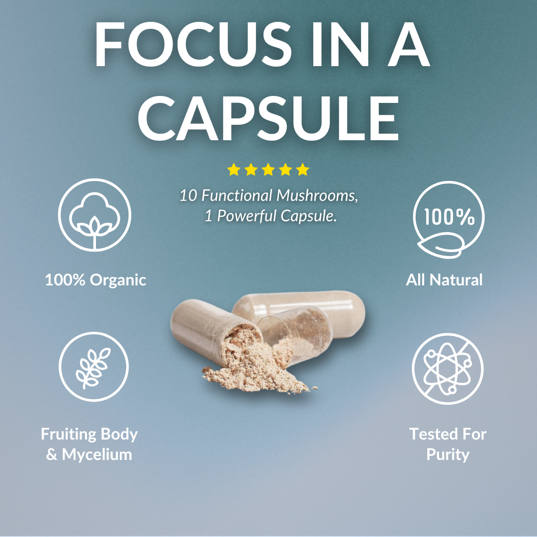 Lion's Mane Mushroom