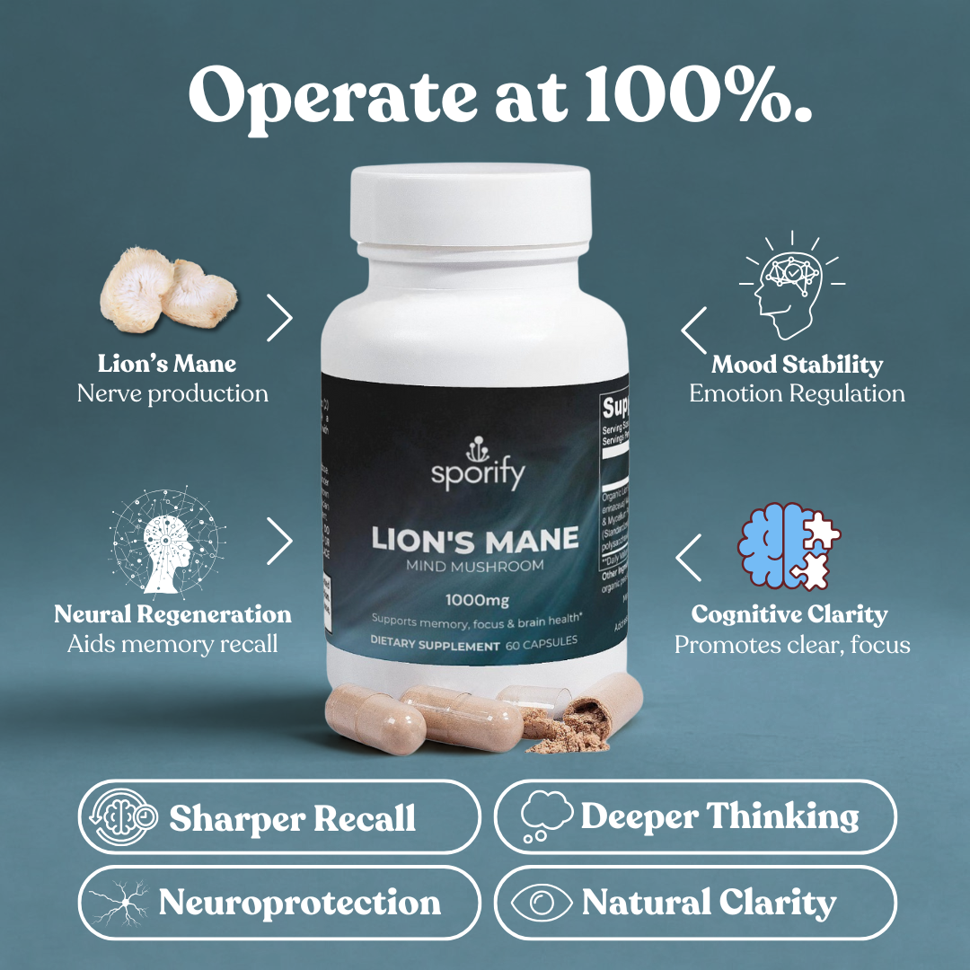 Lion's Mane Mushroom