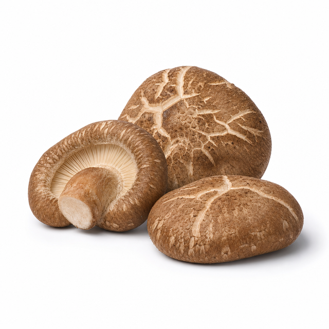 3 - SHIITAKE