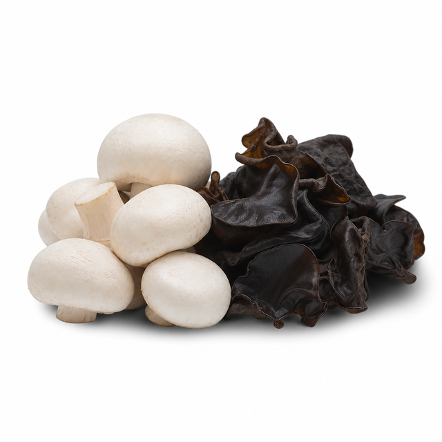 9 - WHITE BUTTON + BLACK FUNGUS