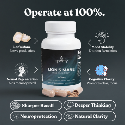 Lion's Mane Mushroom