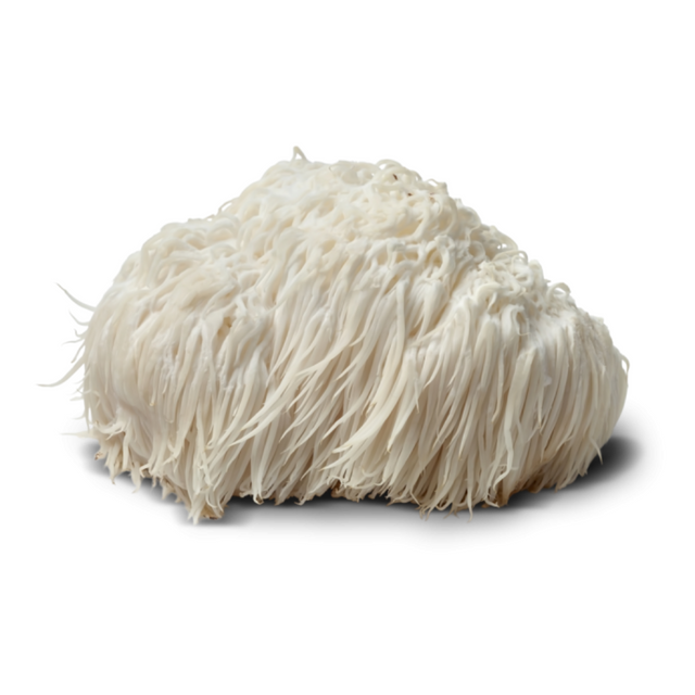 4 - LION'S MANE