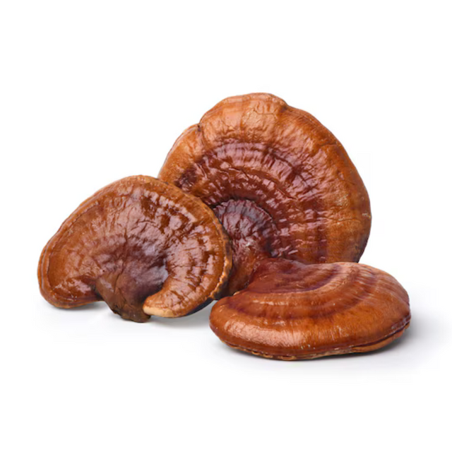 2 - REISHI